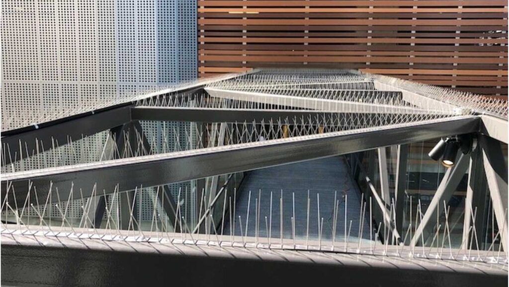 Bird Spikes on Ledge to prevent birds roosting