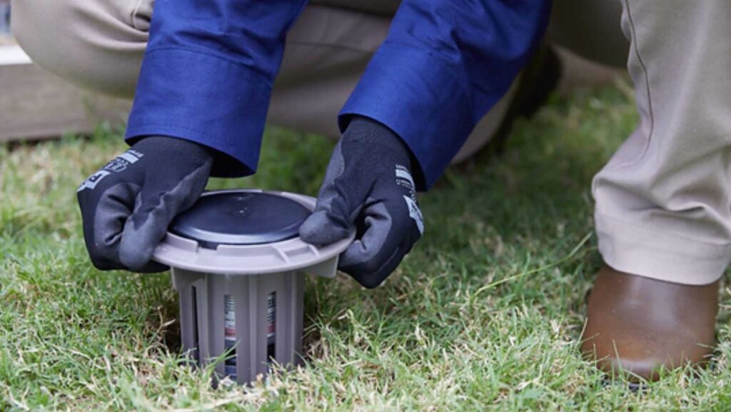 Installing termite monitoring stations on Central Coast